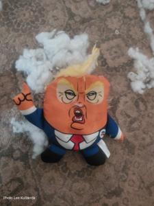 Torn Trump